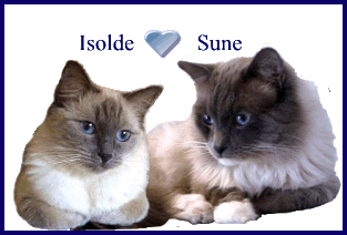 Isolde & Sune