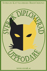 SVERAKdiploma